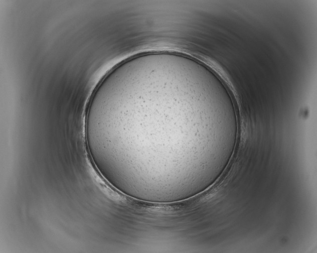 X0000115341388200911161822