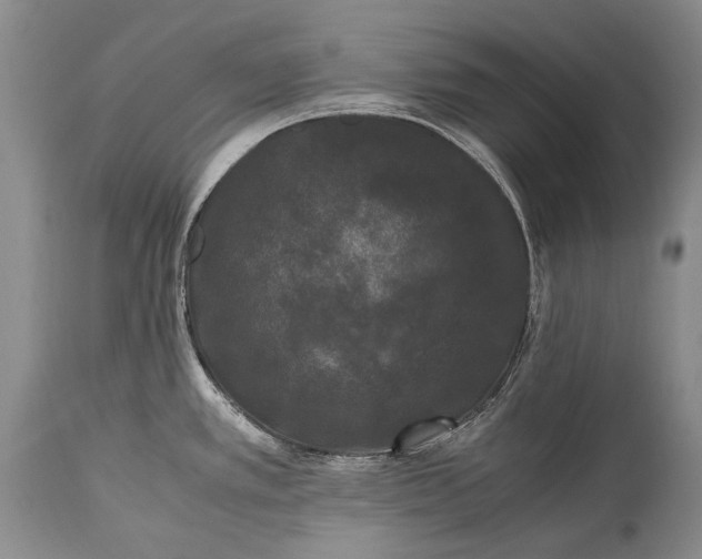 X0000115341389200911161822