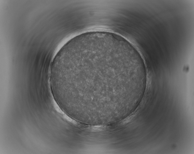 X0000115341390200911161822