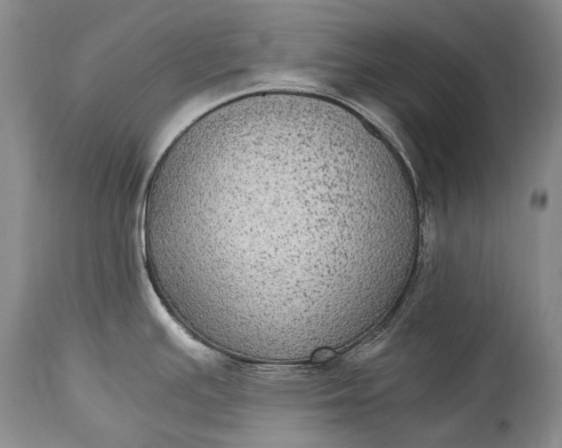 X0000115341391200911161822