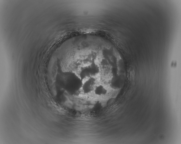 X0000115341393200911161821