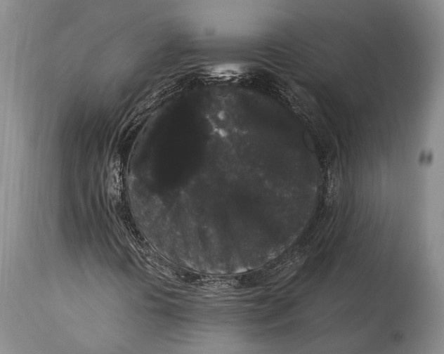 X0000115341394200911161821