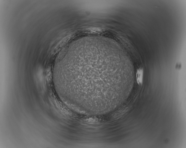 X0000115341395200911161821