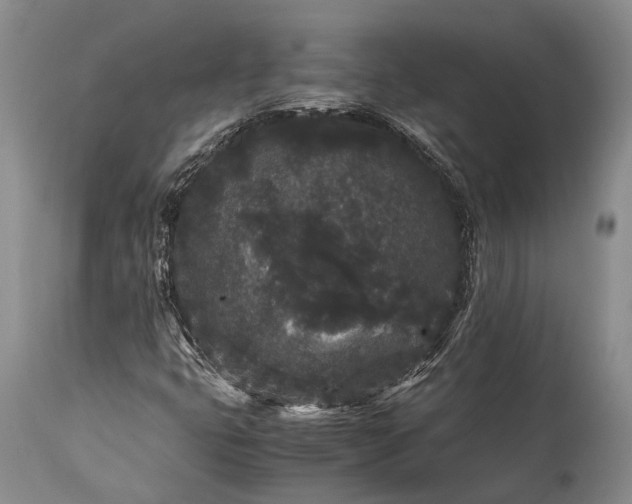 X0000115341399200911161821