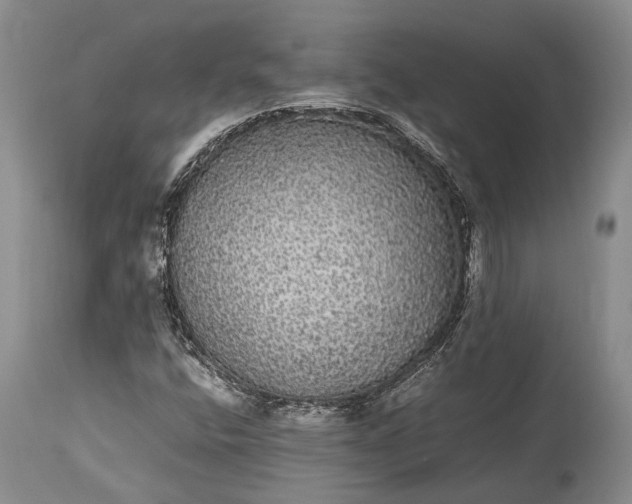 X0000115341400200911161821