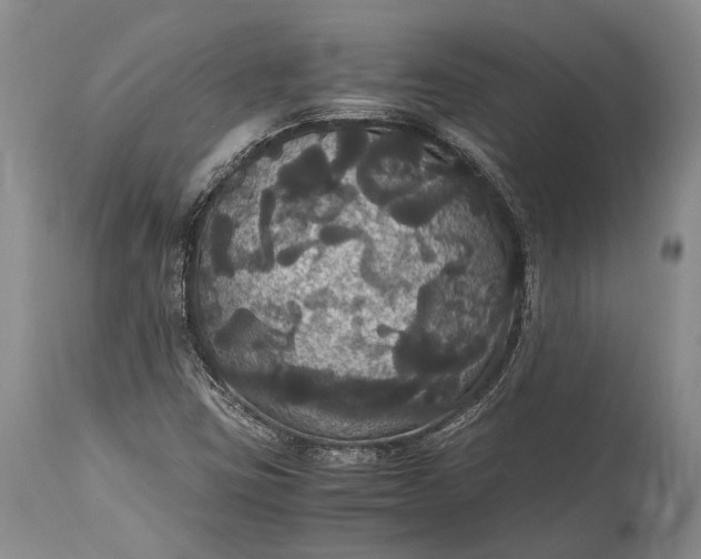 X0000115341403200911161821