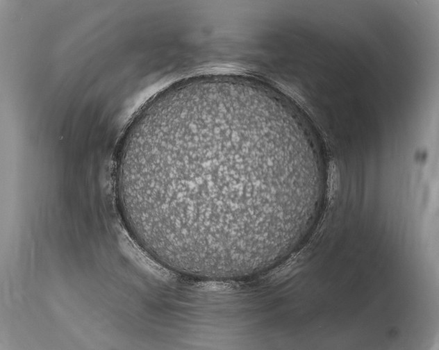 X0000115341404200911161821