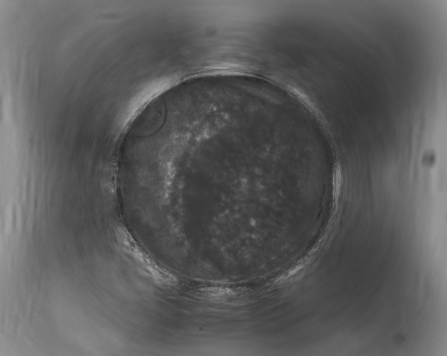 X0000115341405200911161821