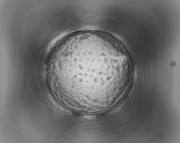 X0000115341406200911161821