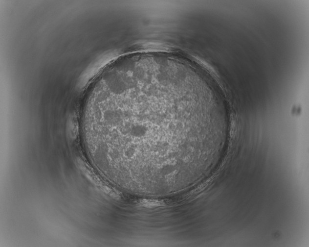 X0000115341407200911161821