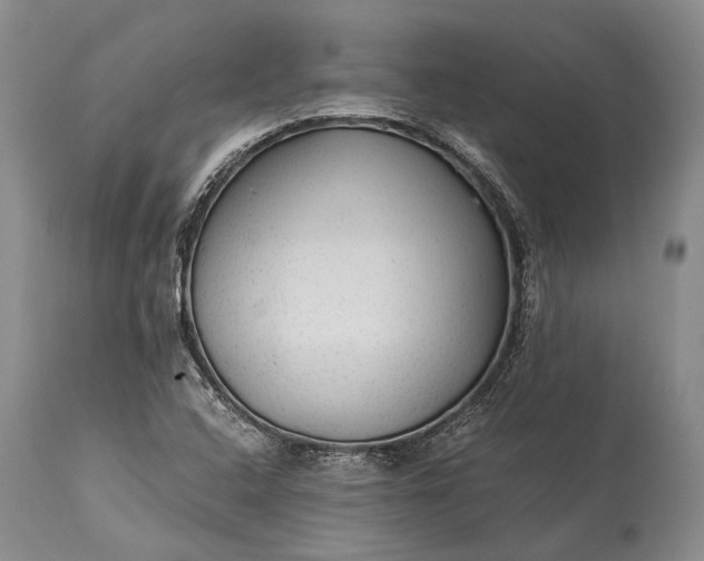 X0000115341408200911161821