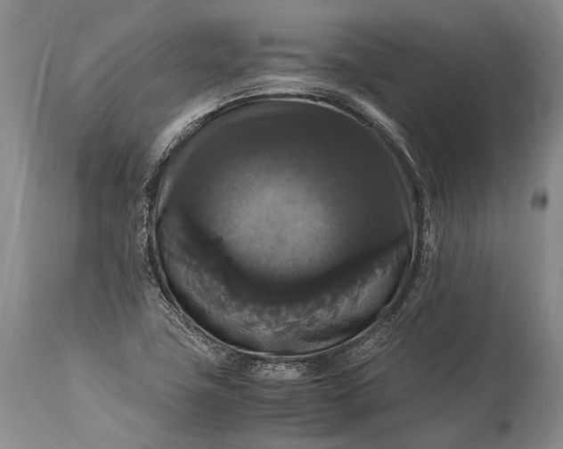 X0000115341411200911161821