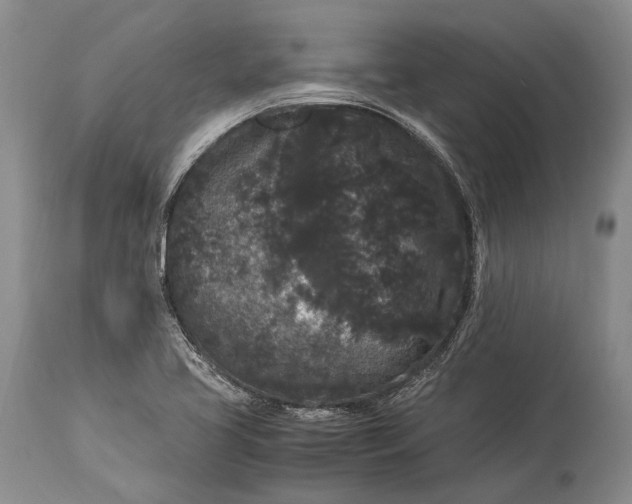 X0000115341413200911161821