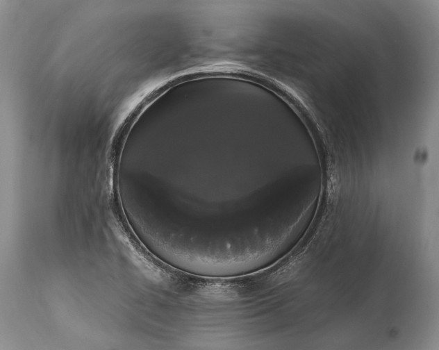 X0000115341414200911161821