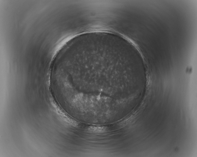 X0000115341415200911161821