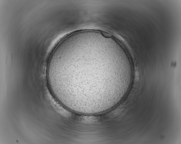 X0000115341416200911161822