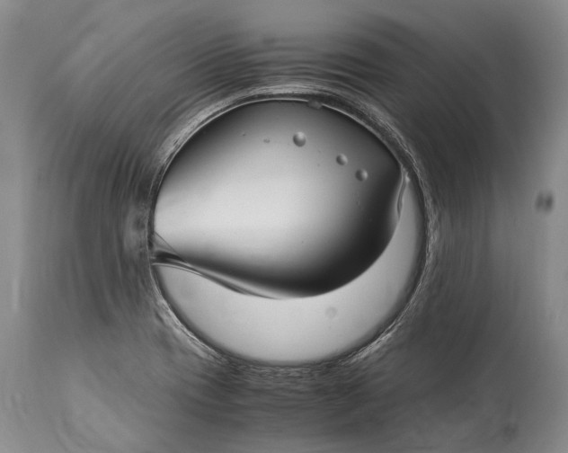 X0000115341417200911161822
