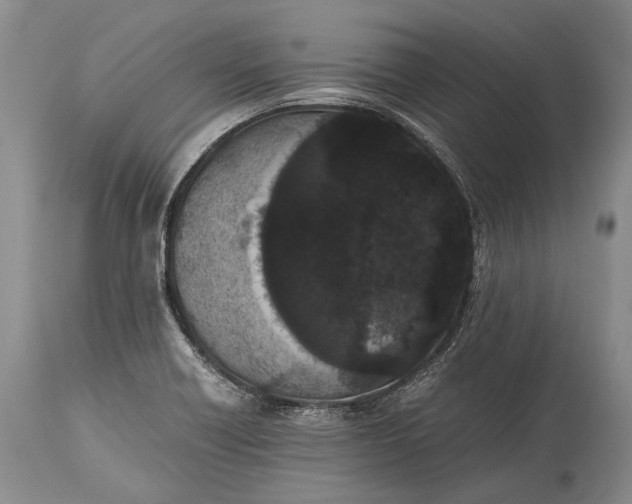 X0000115341418200911161822