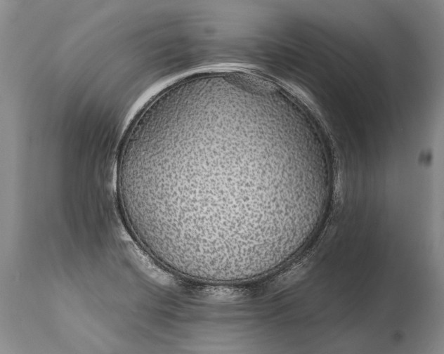 X0000115341420200911161822