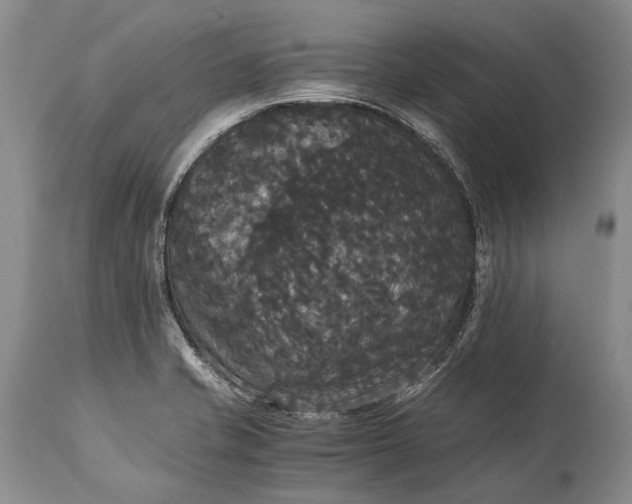 X0000115341421200911161822