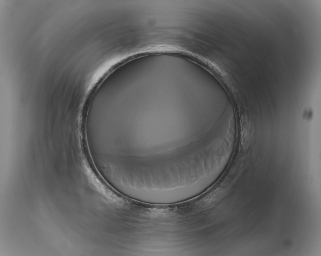 X0000115341422200911161822