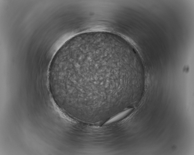 X0000115341423200911161822