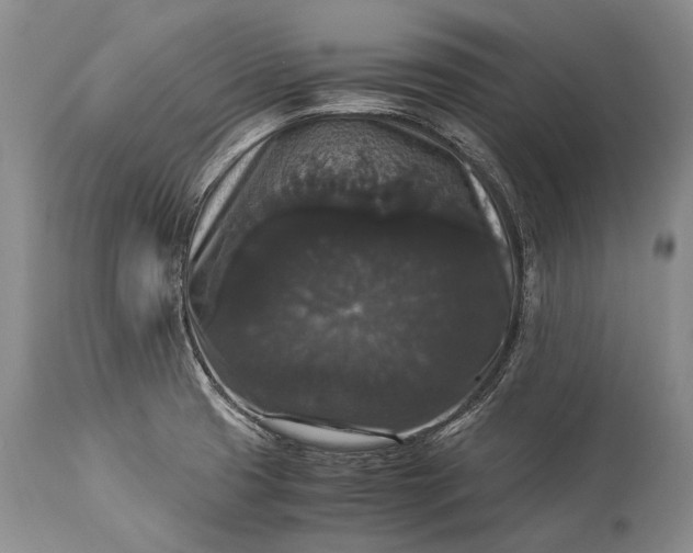 X0000115341425200911161822