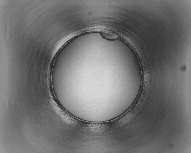 X0000115341426200911161822