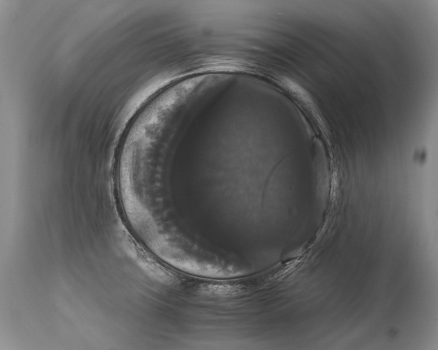 X0000115341427200911161822