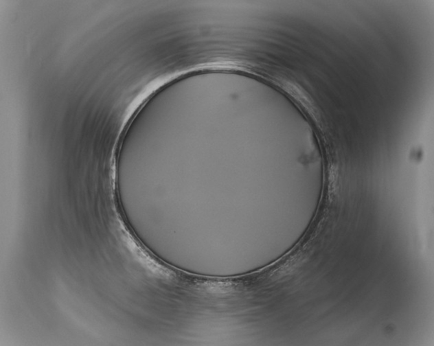 X0000115341428200911161822