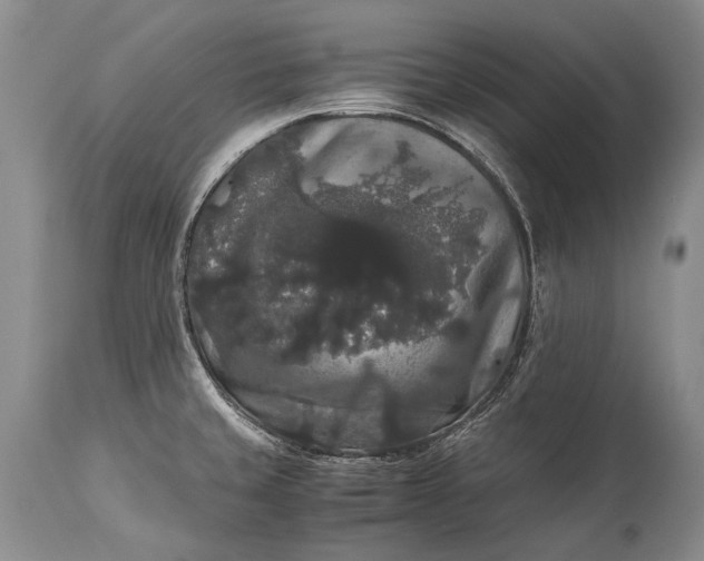 X0000115341429200911161822