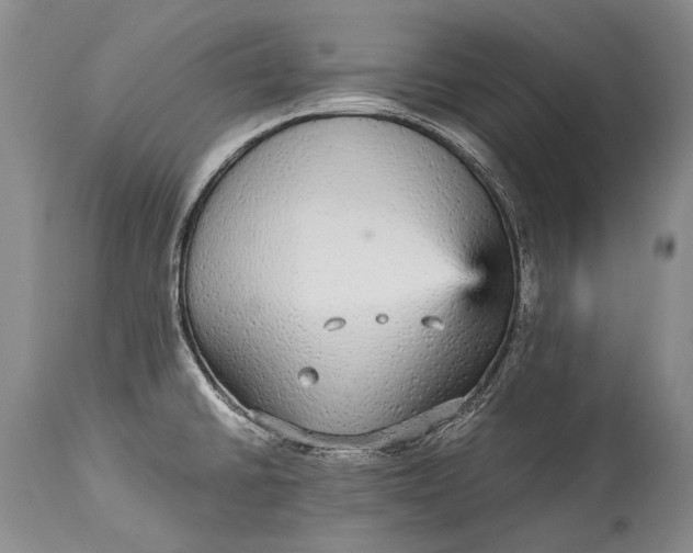X0000115341430200911161822