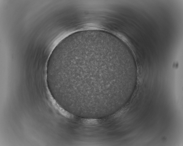 X0000115341431200911161822