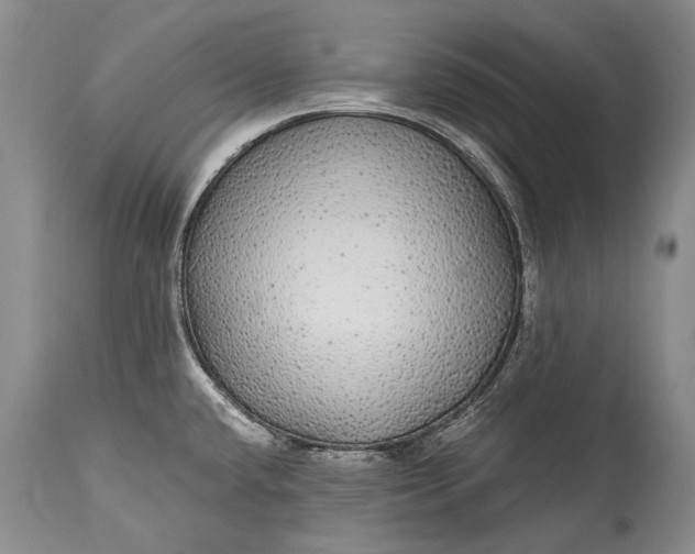 X0000115341432200911161822