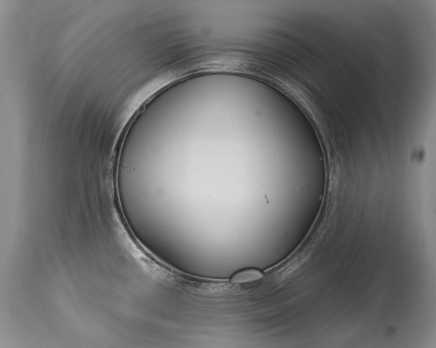 X0000115341434200911161822
