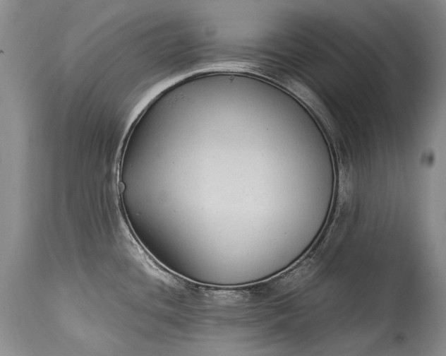X0000115341436200911161822