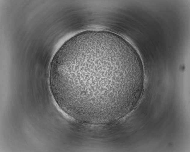 X0000115341437200911161822