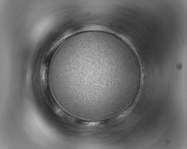 X0000115341438200911161822