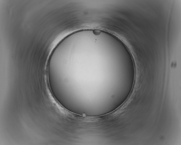 X0000115341440200911161822