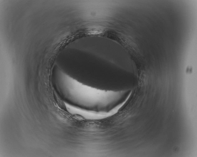 X0000115341441200911161821