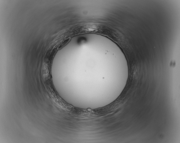 X0000115341442200911161821