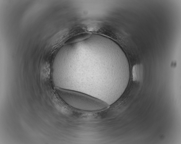 X0000115341443200911161821