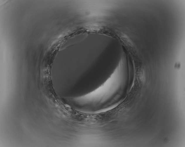 X0000115341445200911161821