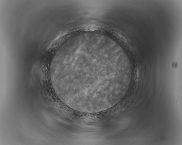 X0000115341446200911161821