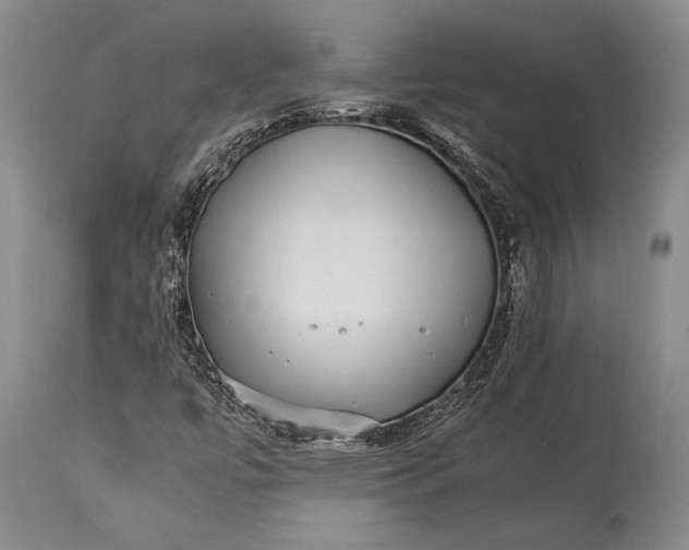 X0000115341447200911161821