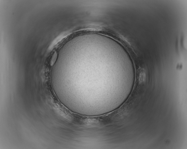 X0000115341448200911161821
