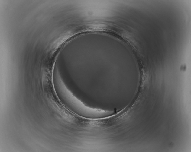 X0000115341449200911161821