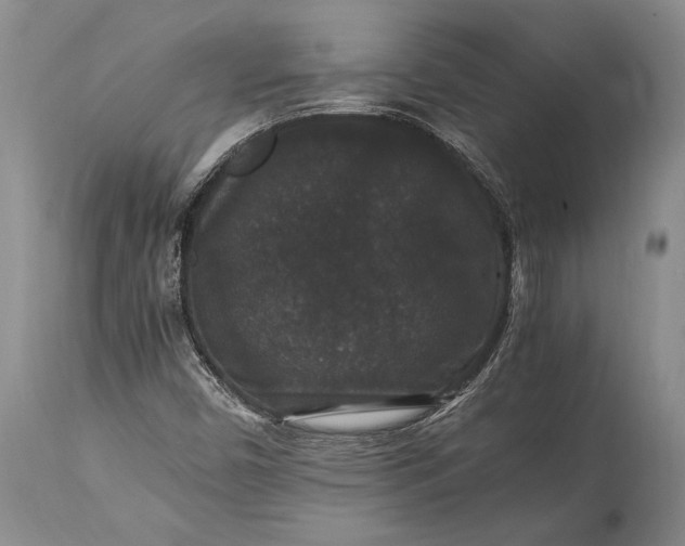 X0000115341450200911161821