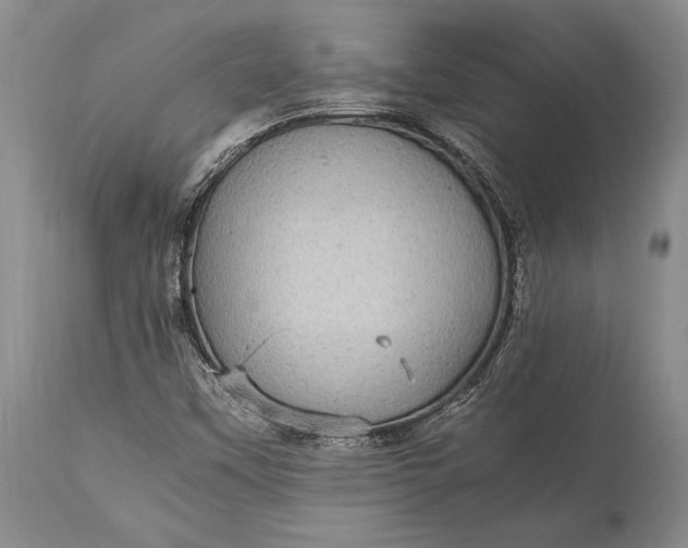 X0000115341451200911161821