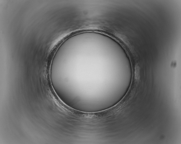 X0000115341452200911161821